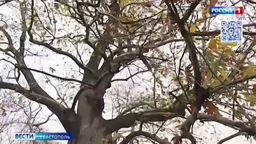 На всех севастопольских особо охраняемых природных территориях до конца года установят информационные знаки, чтобы обозначить эти зоны