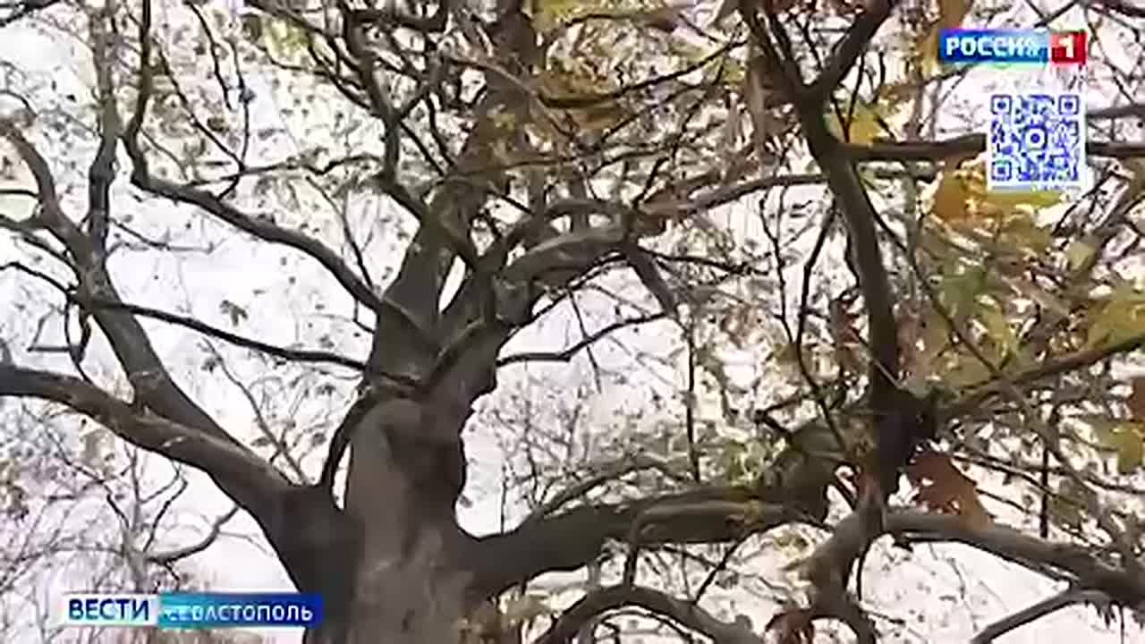 На всех севастопольских особо охраняемых природных территориях до конца года установят информационные знаки, чтобы обозначить эти зоны