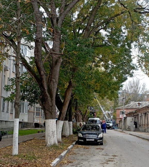 �����������, ����������� �������� � ��������� ��� ����� � ���������