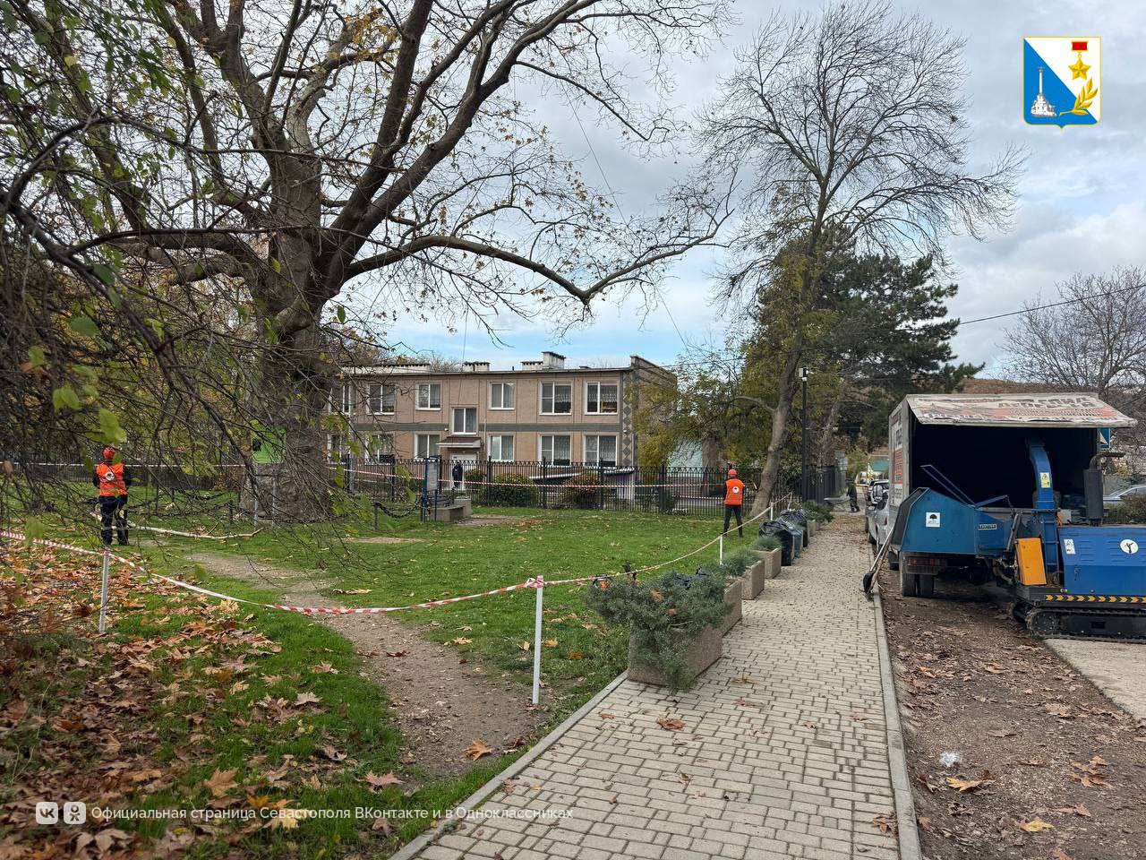 Оздоравливаем «Платан Палласа» в Терновке Оздоравливаем «Платан Палласа» в Терновке