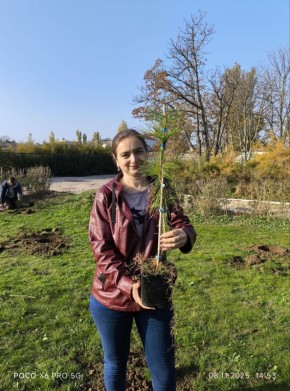          &quot;&quot;     ,    -        - 