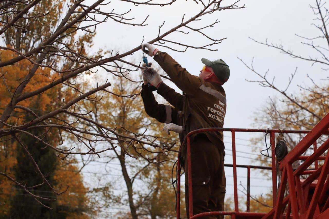 В Керчи продолжается плановый уход за зелеными насаждениями В Керчи продолжается плановый уход за зелеными насаждениями