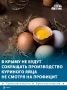 Производство куриного яйца в Крыму превысило спрос в этом году