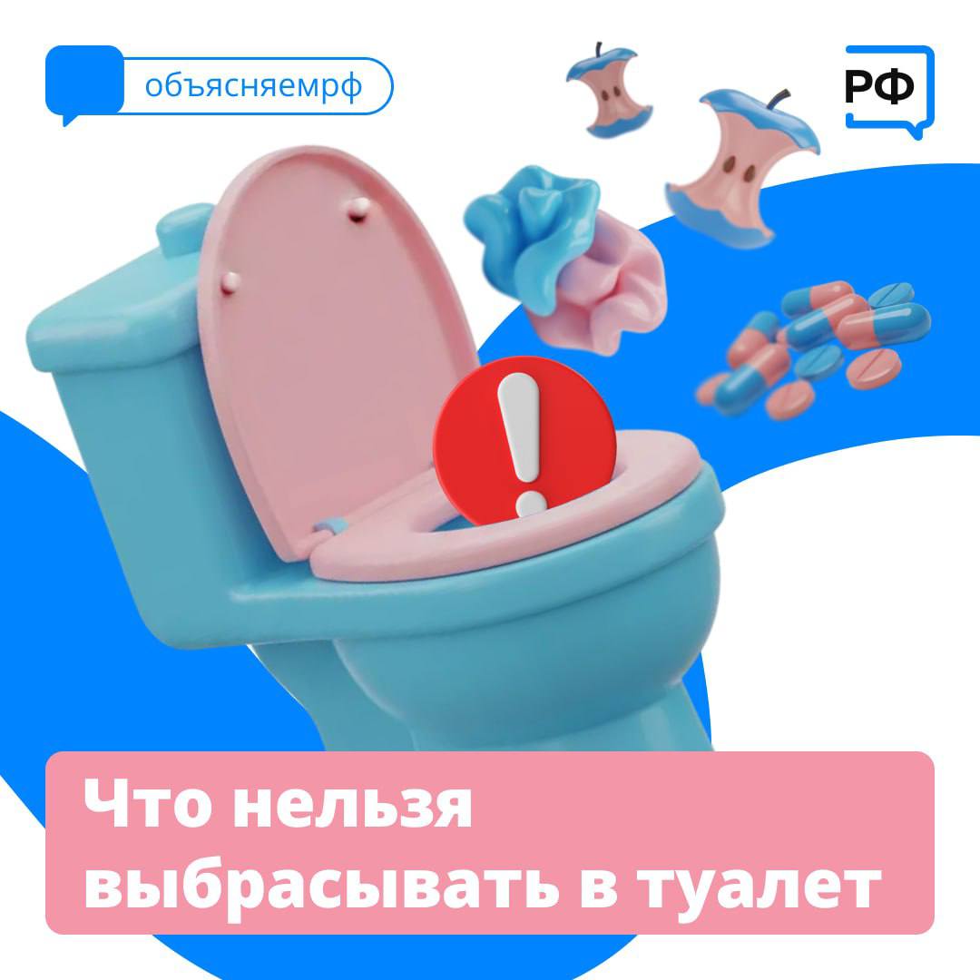 Антон Кравец: Салфетки, ватные диски, остатки заварки и еда, которую приходится выбросить, — что только не летит в туалет