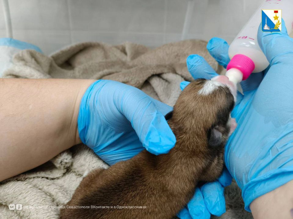 ������ ����� ������ � �������������