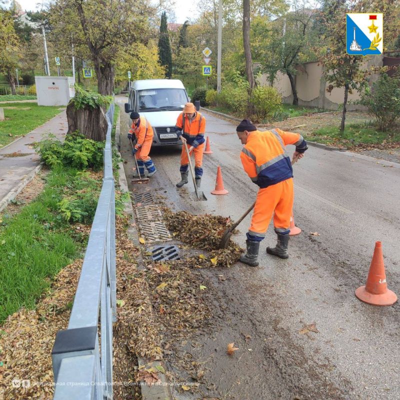 ���������� ����������� ��������� ������������ ��������� ����� �������� ����������� � ��� ������������� ������� ��