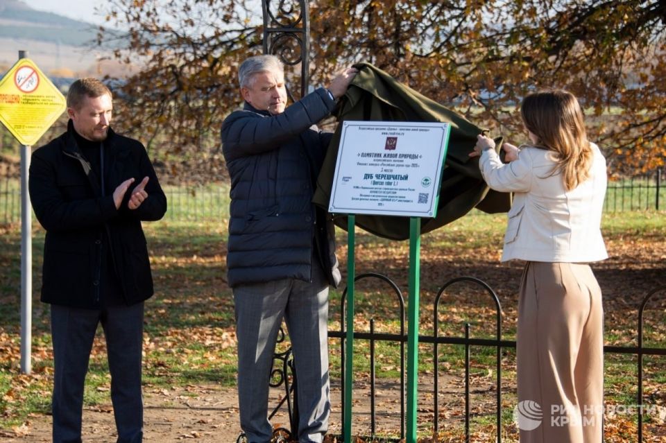 ����� �������: �� ����, ��� �������� ��� ������� - �������, ������� �� ���� �������� ������ � ������ ������������ ����