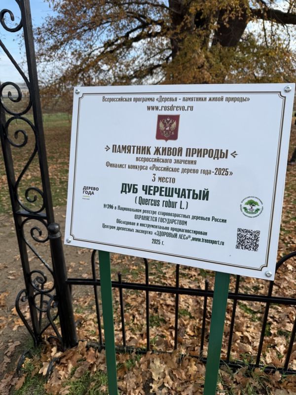 ����������� �������� ��� �������� ������ �� ������������� �������� ����������� ������ ���� � 2025�