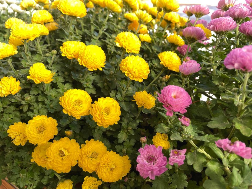 � ������ �����, �������!. ����� ������ �������� ����� ������� ��� ����� �������, ���� � ����� ��� ������ ���