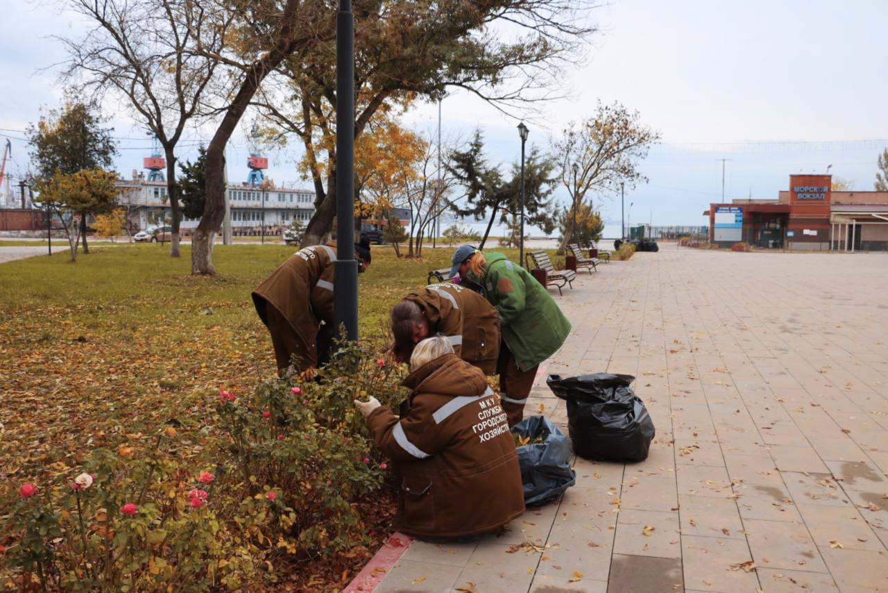 В Керчи продолжается плановый уход за зелеными насаждениями В Керчи продолжается плановый уход за зелеными насаждениями