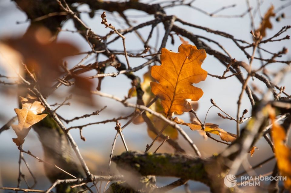 ����������� ����� ������ ��-���������� ���������