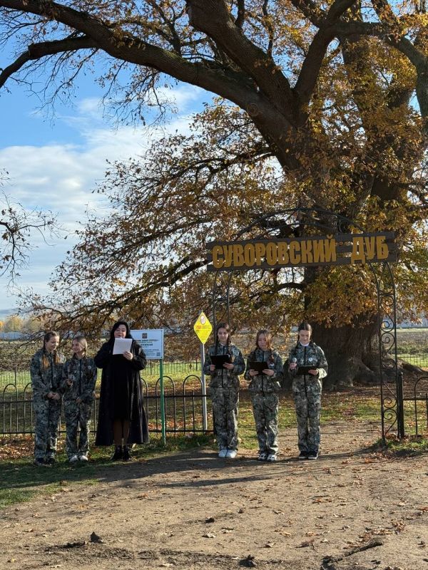 ����������� �������� ��� �������� ������ �� ������������� �������� ����������� ������ ���� � 2025�