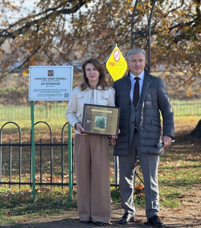 � ����������� ������ ���������� ������������� ����������� ���������� ��������� �������������� �������� ����������� ������ ���� � 2025� ������������ ���