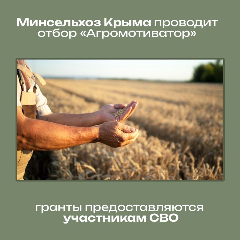Ветераны и участники специальной военной операции, занятые предпринимательской деятельностью в агропромышленном комплексе, могут получить поддержку от государства на развитие своего дела