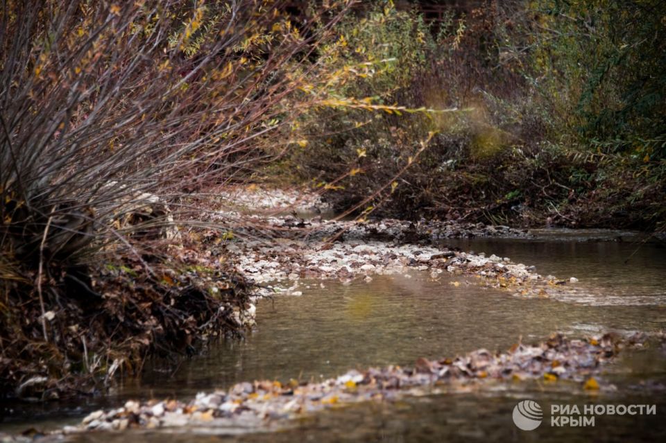 ����������� ����� ������ ��-���������� ���������