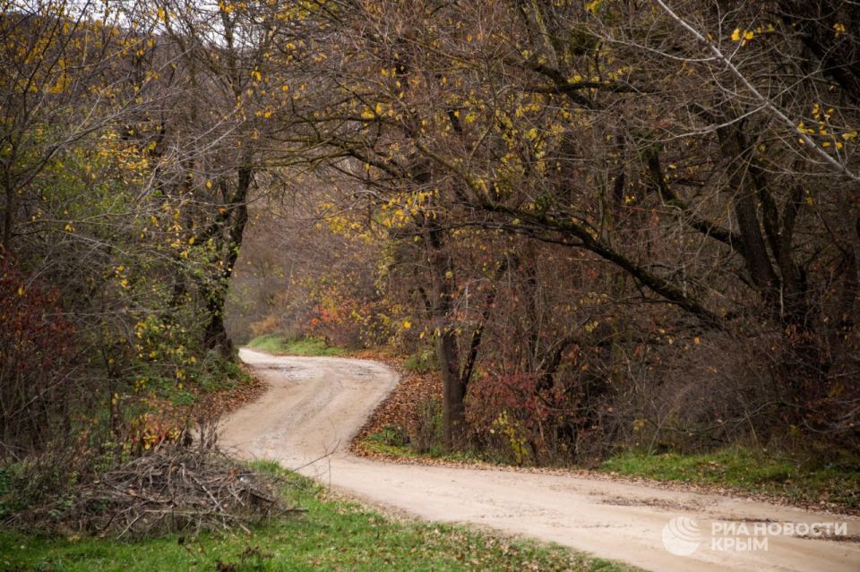 ����������� ����� ������ ��-���������� ���������