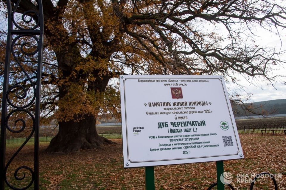 ����� �������: �� ����, ��� �������� ��� ������� - �������, ������� �� ���� �������� ������ � ������ ������������ ����