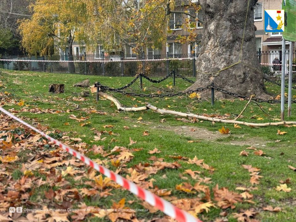 ������������� ������� ������� � ��������