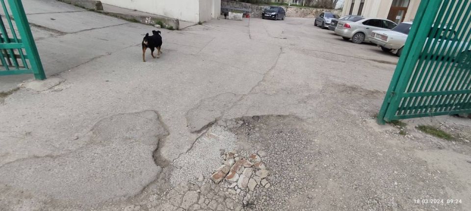 ������ �������: ��������� ���� ��������������� ���������� ��������� ��������