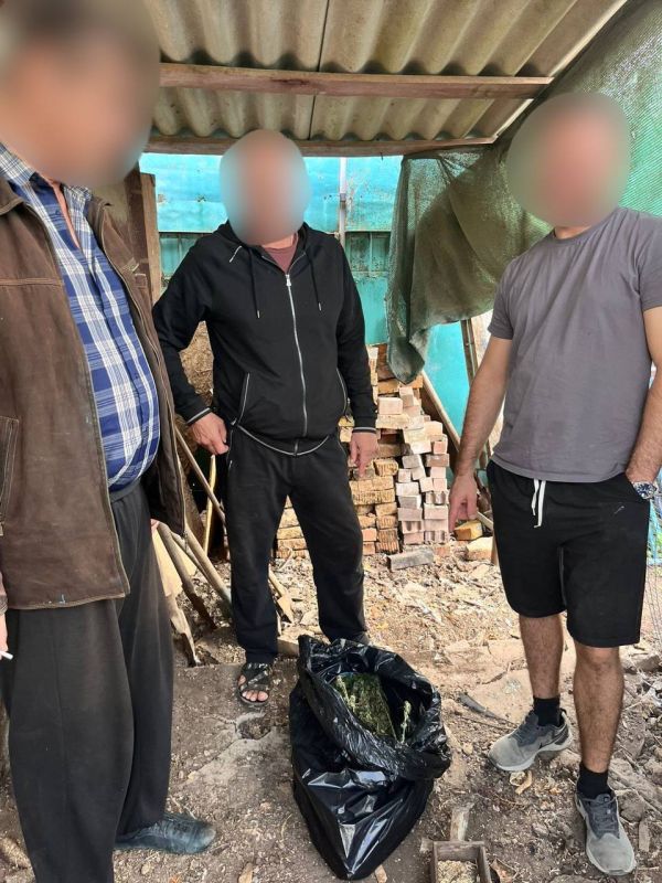 В Первомайском районе за хранение каннабиса в суде ответит местный житель