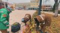 В Керчи продолжается плановый уход за зелеными насаждениями