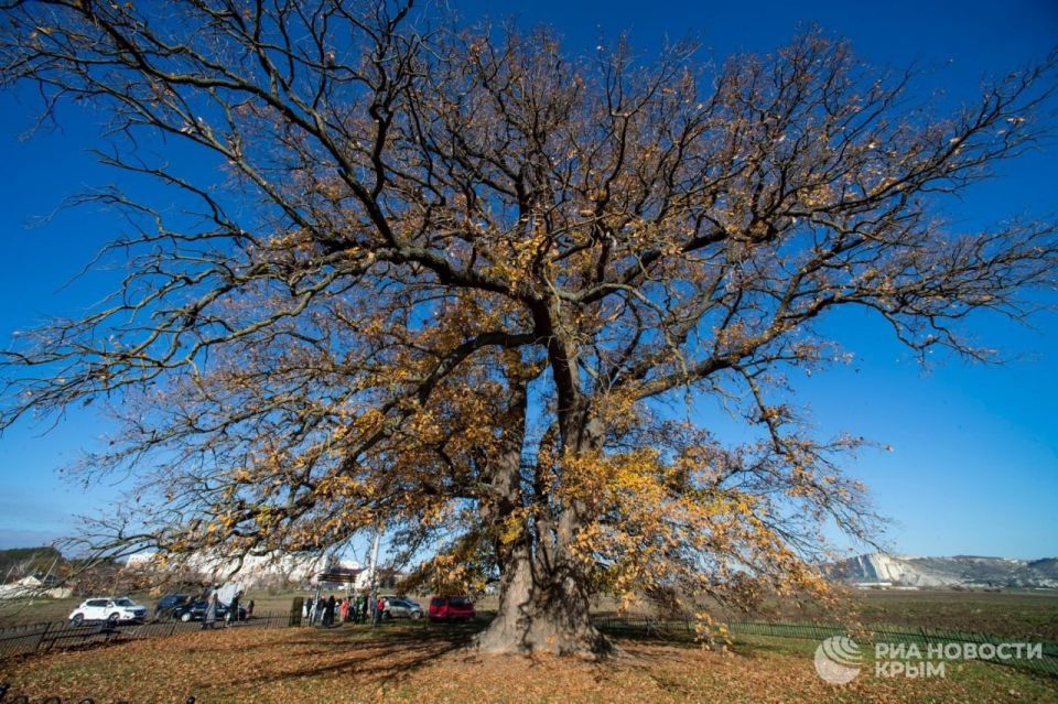 ����� �������: �� ����, ��� �������� ��� ������� - �������, ������� �� ���� �������� ������ � ������ ������������ ����