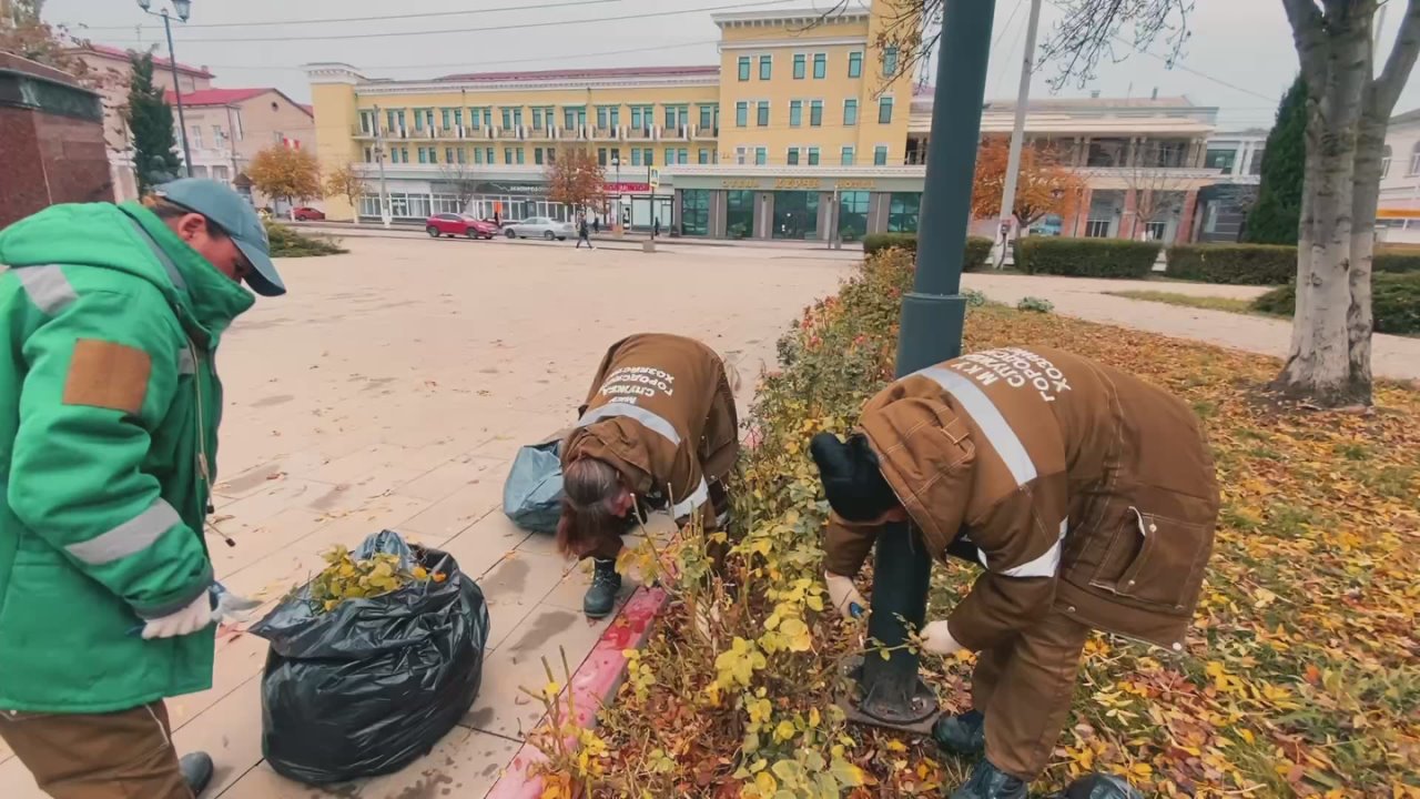 В Керчи продолжается плановый уход за зелеными насаждениями