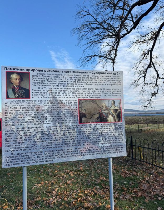 � ����������� ������ ���������� ������������� ����������� ���������� ��������� �������������� �������� ����������� ������ ���� � 2025� ������������ ���