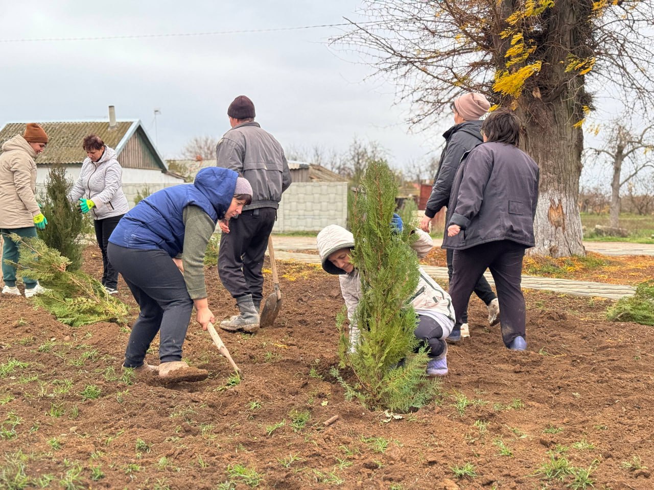 В Джанкойском районе высадили 160 саженцев деревьев в новом парке В Джанкойском районе высадили 160 саженцев деревьев в новом парке