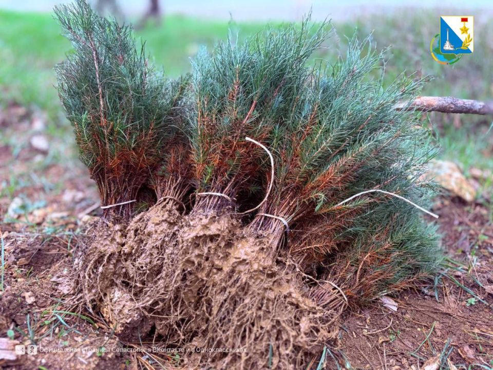 ��������� ���. � ������������� ����������� �������� 3 ������ ���������, ��� � ����� ���������� �������� ����� ���������� ��������� ���������� ��������� � ��������� ����� ��������� � ���������� � �������� �������� ���������...