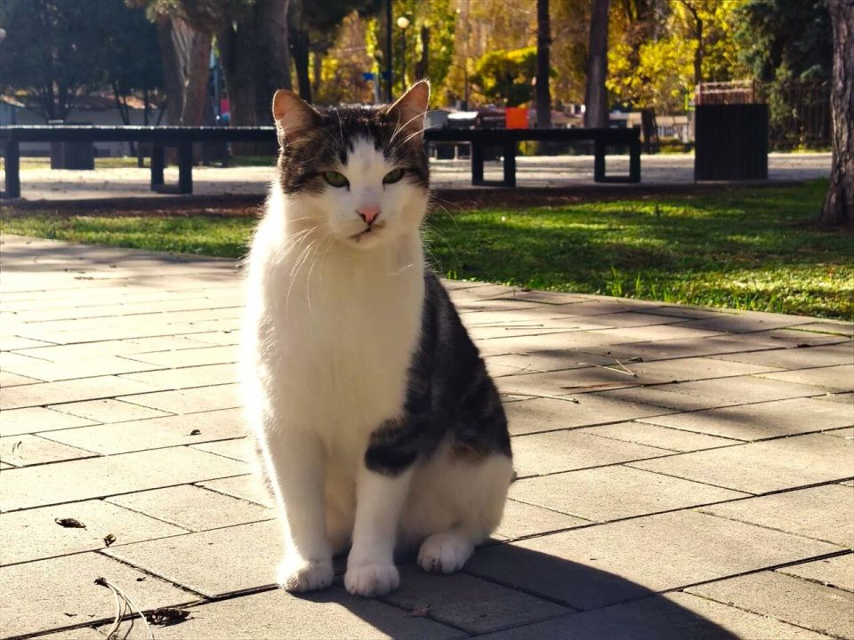 � ������ �����, �������!. ����� ��� ���� ����� �� ������ "�������", � �������� � ����������� �������