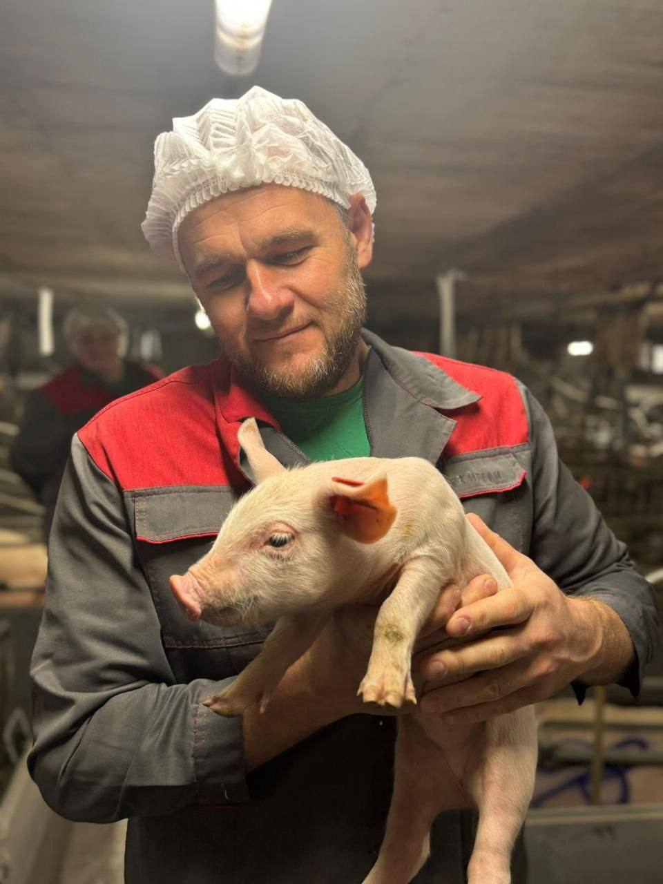 Заместитель министра сельского хозяйства Республики Крым Николай Тютюник с рабочим визитом посетил одно из ведущих предприятий отрасли в Симферопольском районе — племенной завод по разведению свиней крупной белой породы Заместитель министра сельского хозяйства Республики Крым Николай Тютюник с рабочим визитом посетил одно из ведущих предприятий отрасли в Симферопольском районе — племенной завод по разведению свиней крупной белой породы