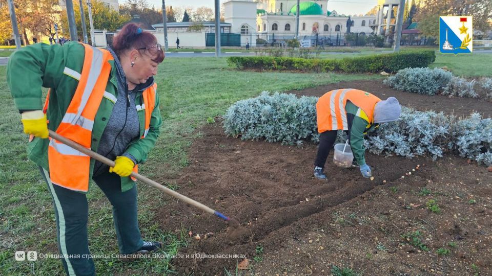 � ������ ������ �������� ����� 70 ����� ������� �������� ������