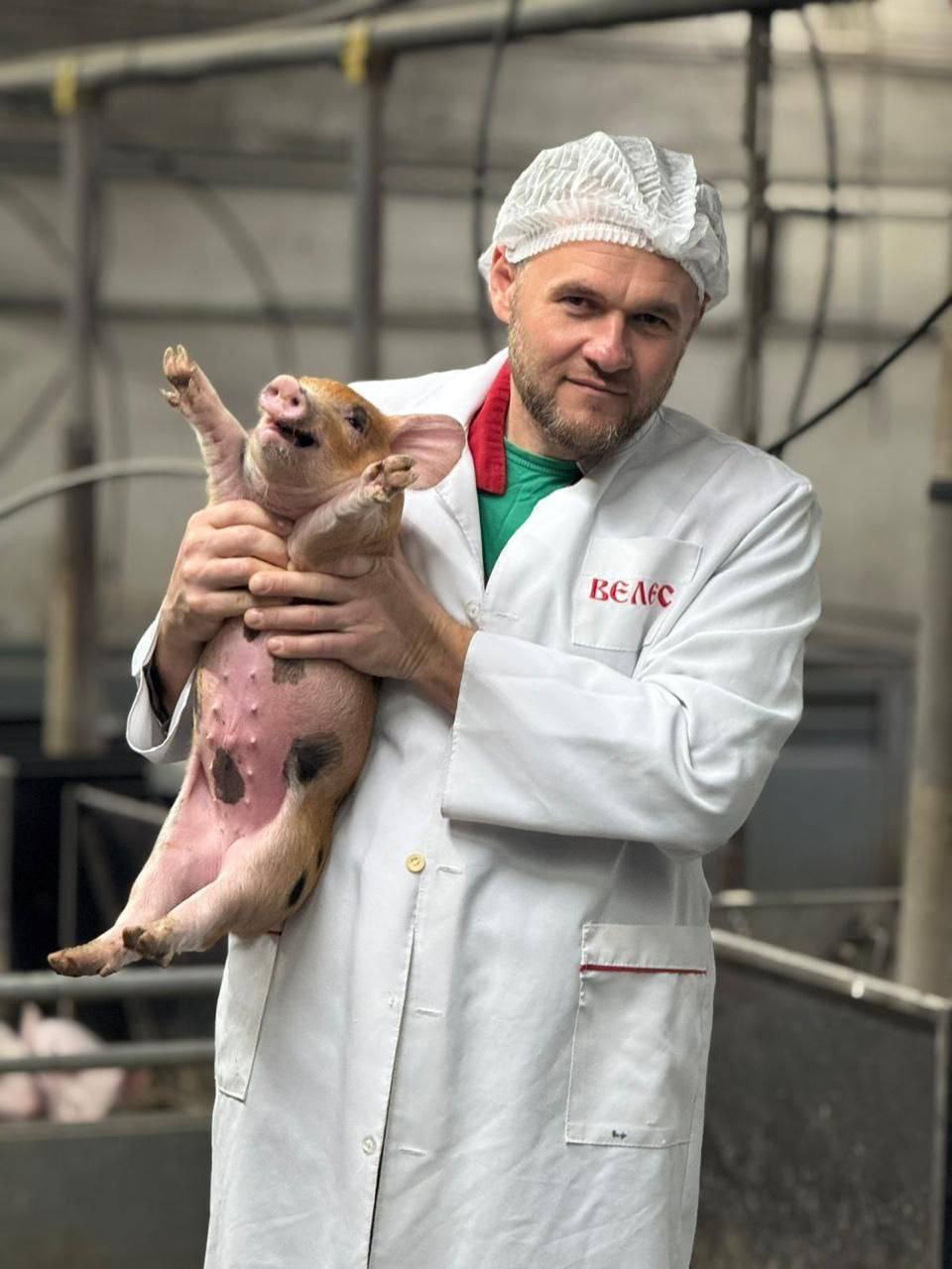 Заместитель министра сельского хозяйства Республики Крым Николай Тютюник с рабочим визитом посетил одно из ведущих предприятий отрасли в Симферопольском районе — племенной завод по разведению свиней крупной белой породы