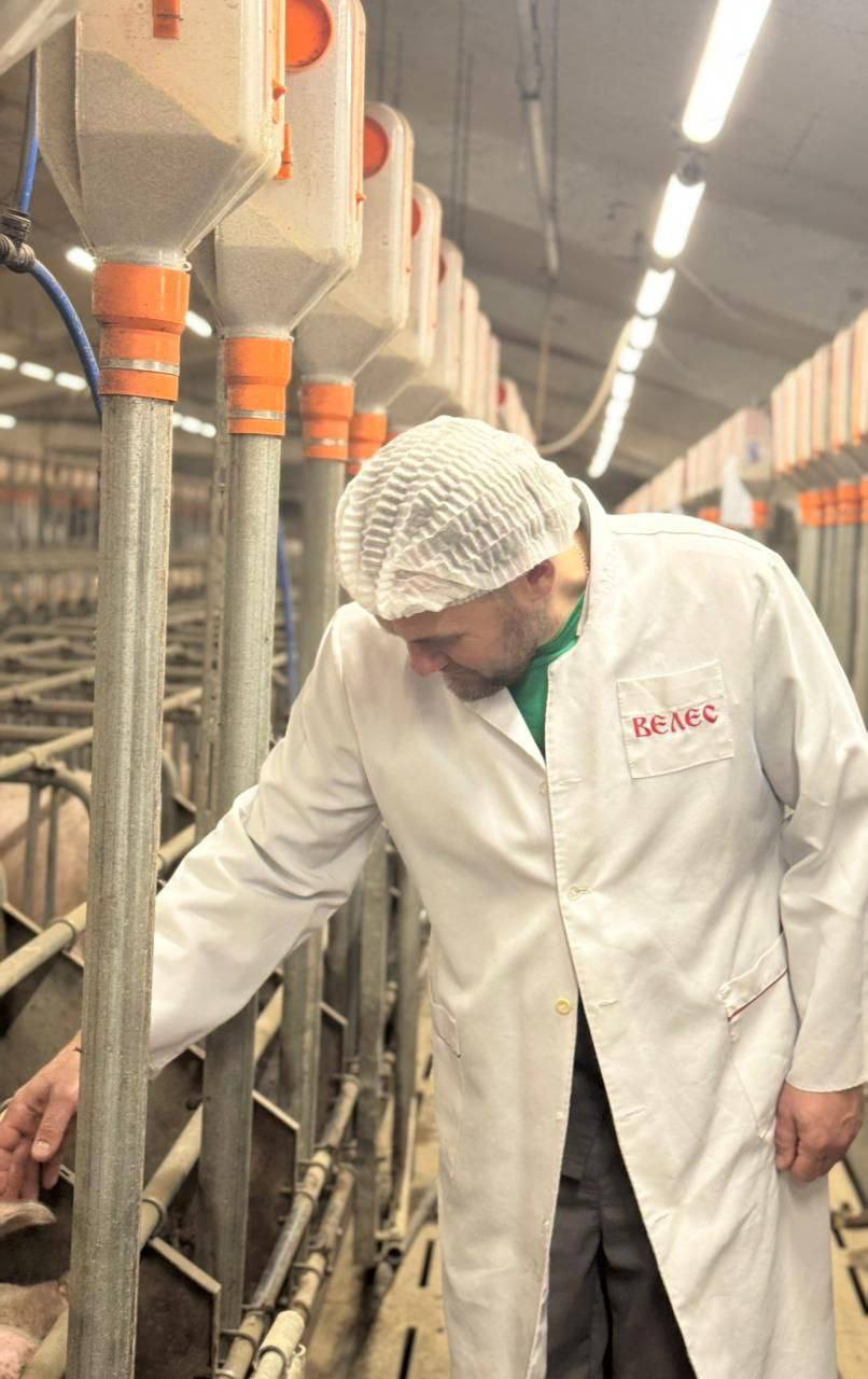 Заместитель министра сельского хозяйства Республики Крым Николай Тютюник с рабочим визитом посетил одно из ведущих предприятий отрасли в Симферопольском районе — племенной завод по разведению свиней крупной белой породы Заместитель министра сельского хозяйства Республики Крым Николай Тютюник с рабочим визитом посетил одно из ведущих предприятий отрасли в Симферопольском районе — племенной завод по разведению свиней крупной белой породы