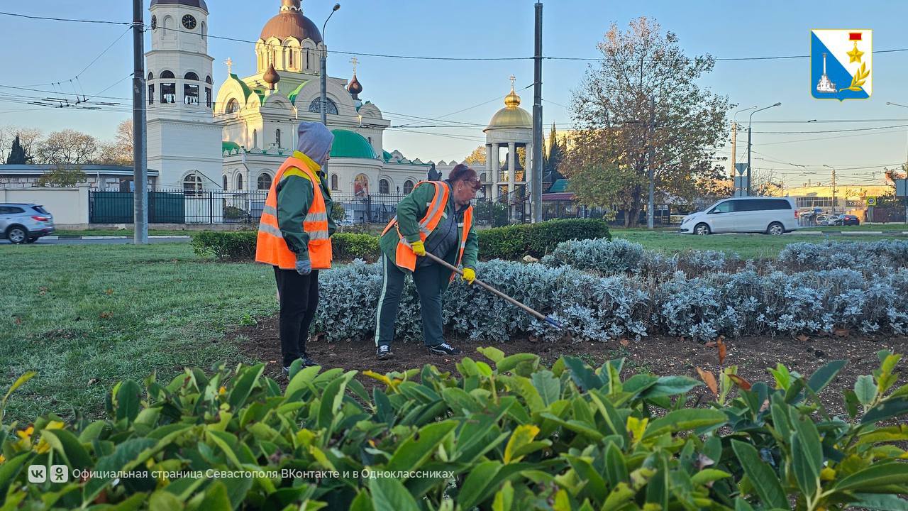 В клумбы города высадили более 70 тысяч луковиц весенних цветов