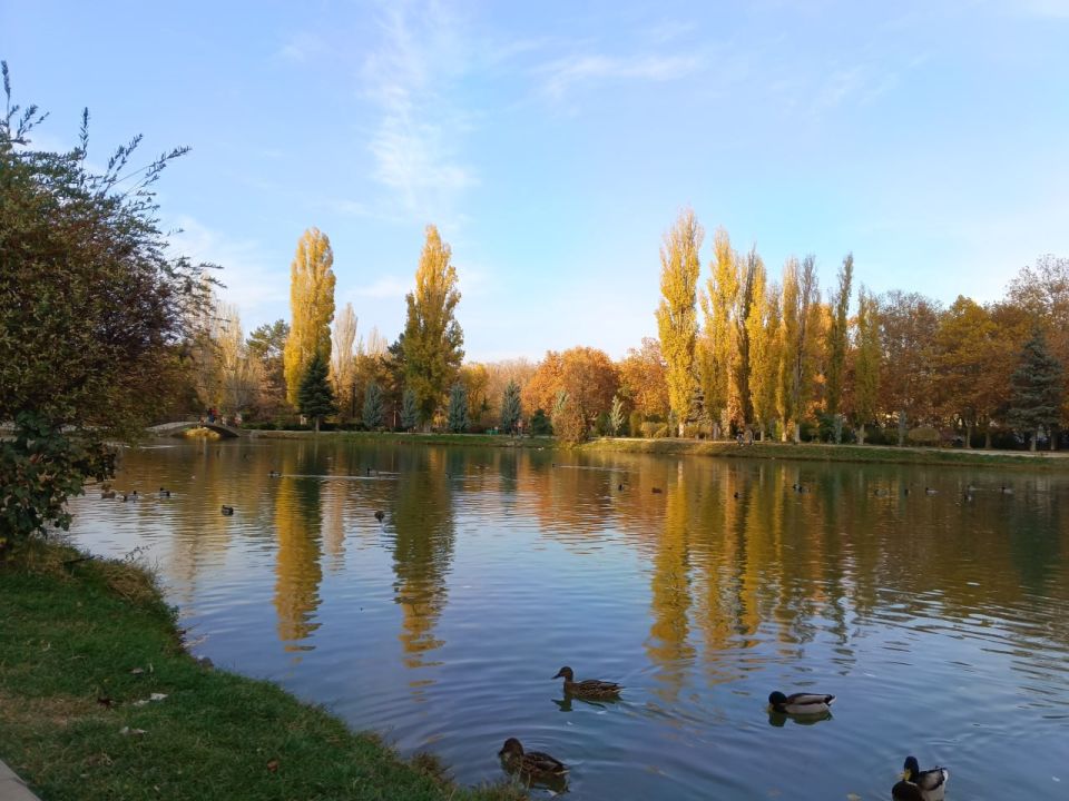 ������� ������ � ����� �� 14 ������