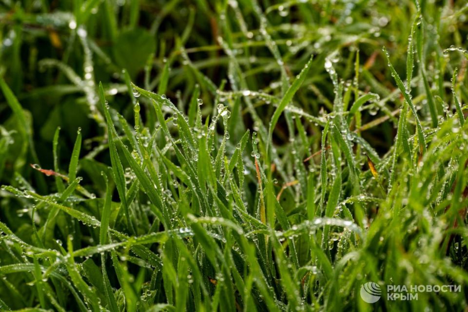 ������� ������ � ����� �� �������