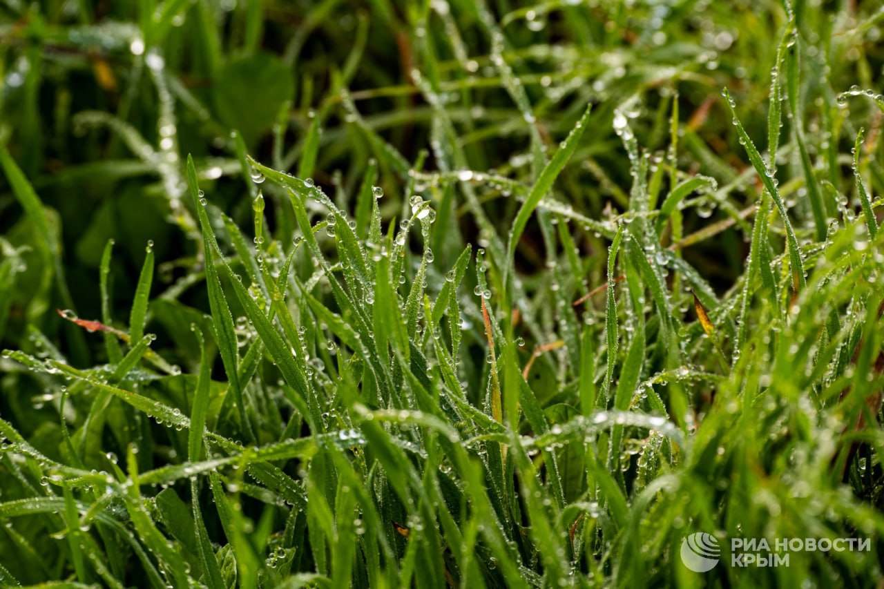 Прогноз погоды в Крыму на пятницу