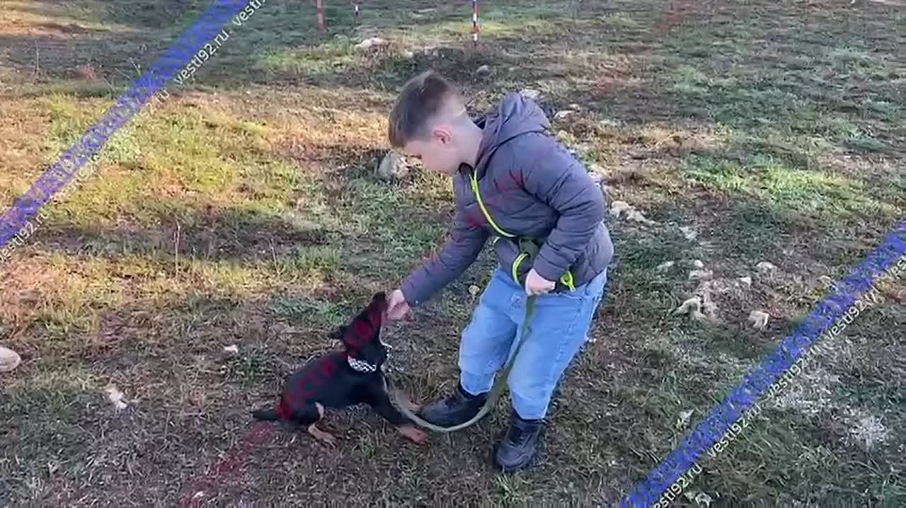 «Спорт с хвостом» — грантовый проект, благодаря которому участники (хозяин и его собака) смогли лучше понять друг друга