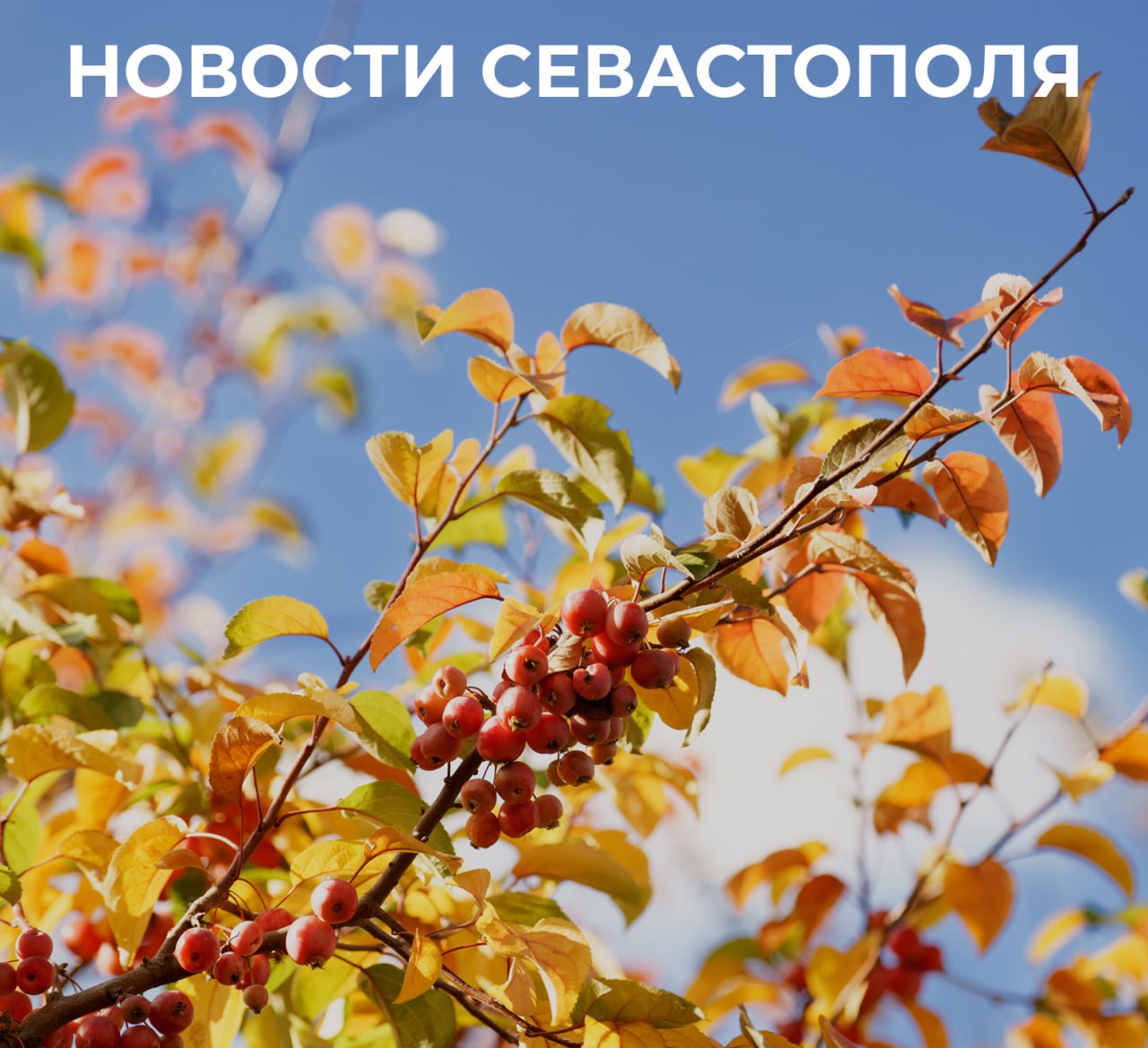 Михаил Развожаев: Итоги минувшего дня:. Севастопольские некоммерческие организации вошли в число победителей конкурса Президентского фонда культурных инициатив этого года