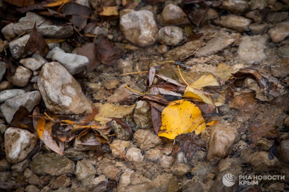 ������� ������ � ����� �� �������