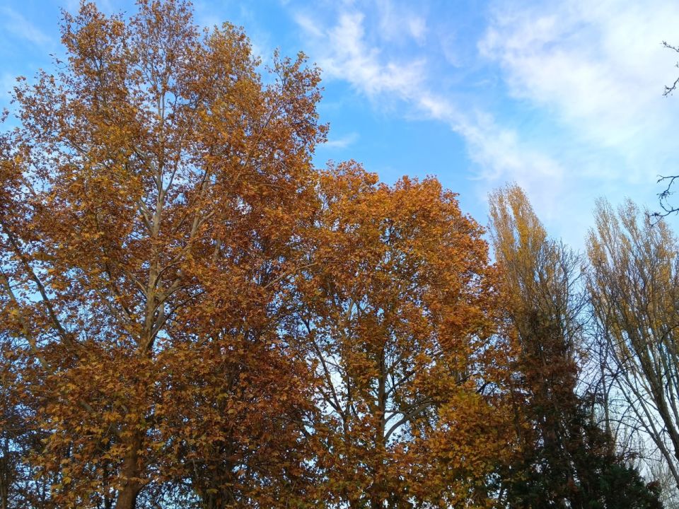 ������� ������ � ����� �� 15 ������