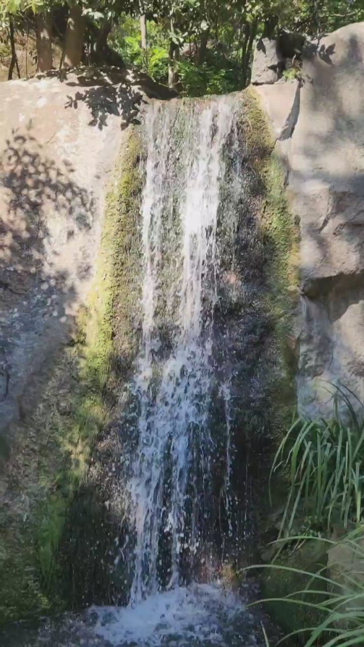 Великолепный вид на Ай-Петри под оглушительный пение цикад! Республика Крым