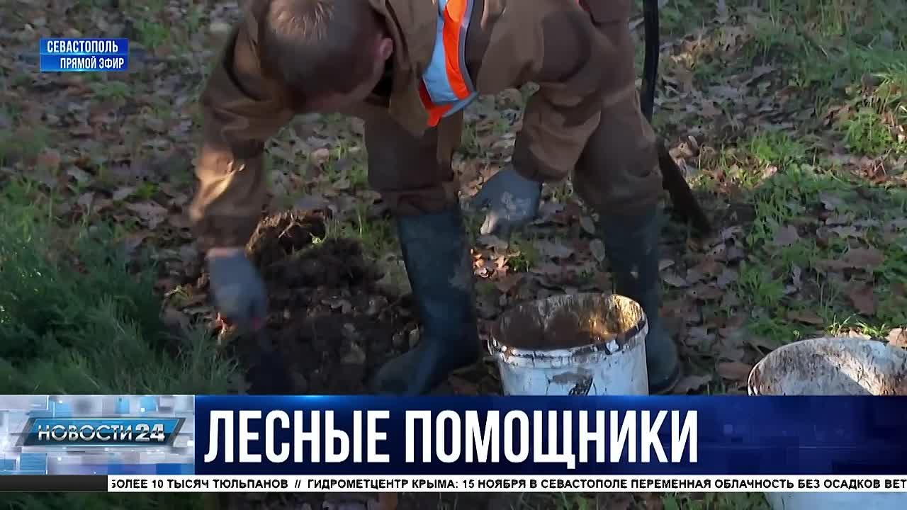 Научить детей любить природу и помочь экологии региона