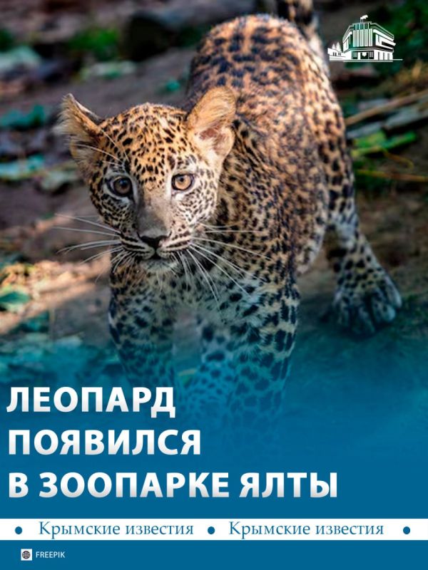 ������������� ������� ������� ��������� � ����� �� ��������� ����