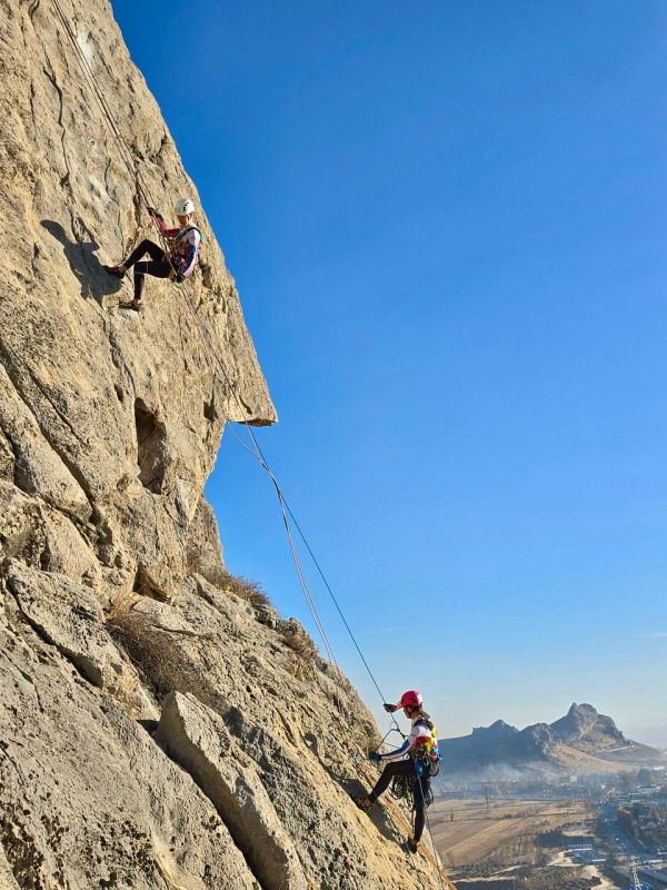 ������ ���������: ��������������� ���������� � ������� ������� ������ ��������� 12 ������� �� ����� ���� �� ����������� ������� �� ������ ����������