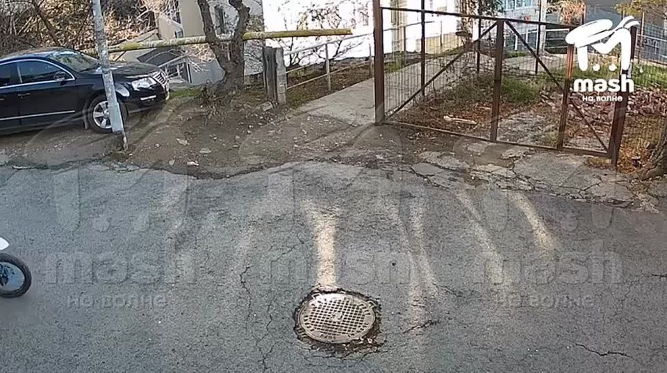 "За***ли, курвы!". Дама с собачкой избила школьника на питбайке в Ялте