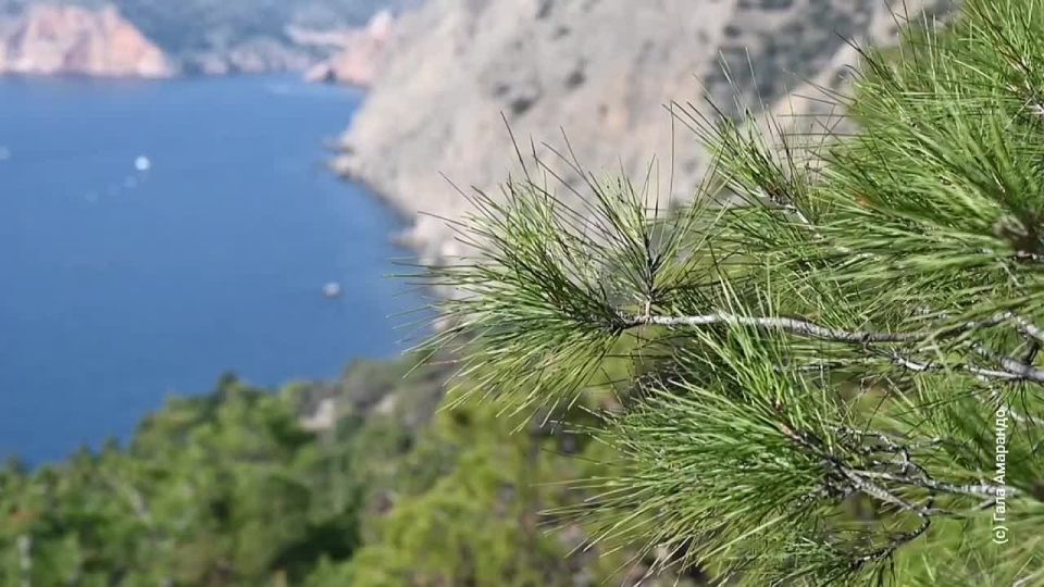 Вода Крыма: Вода, у тебя нет ни вкуса, ни цвета, ни запаха, тебя невозможно описать, тобой наслаждаются, не ведая, что ты такое