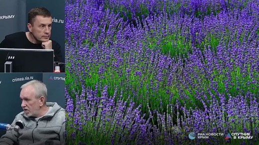 Знакомство школьников с природой Крыма должно стать нормой – географ